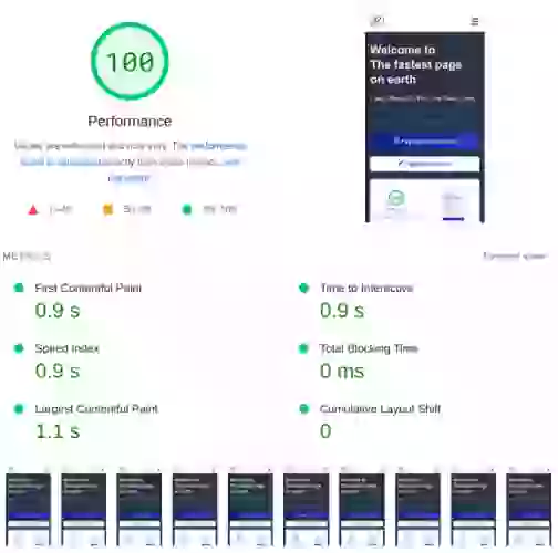 lighthouse 100 score