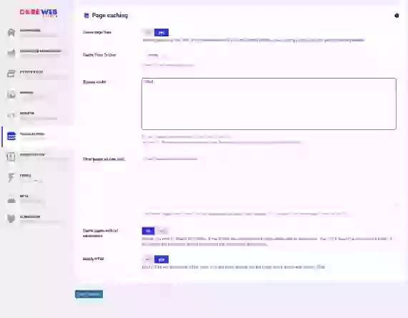 Website Core Web Vitals Audit