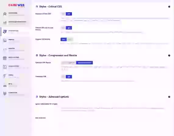 Website Core Web Vitals Audit