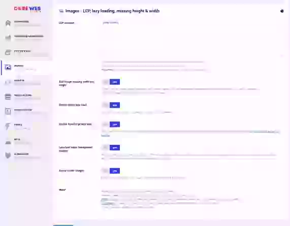 Website Core Web Vitals Audit