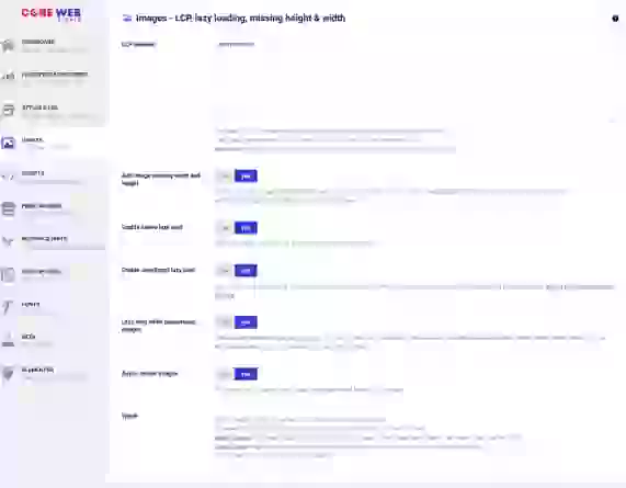 Website Core Web Vitals Audit