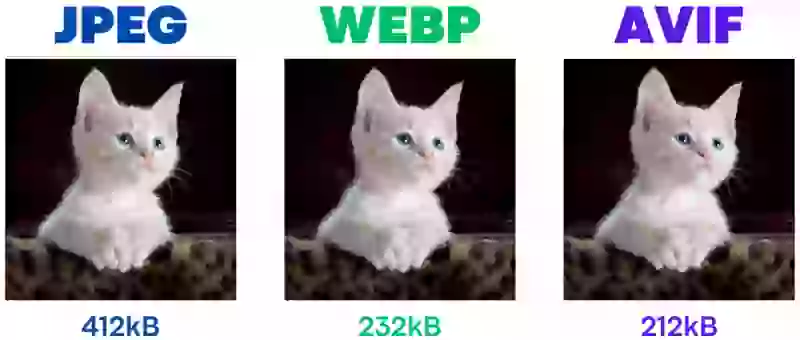 cat webp jpg avif compare size